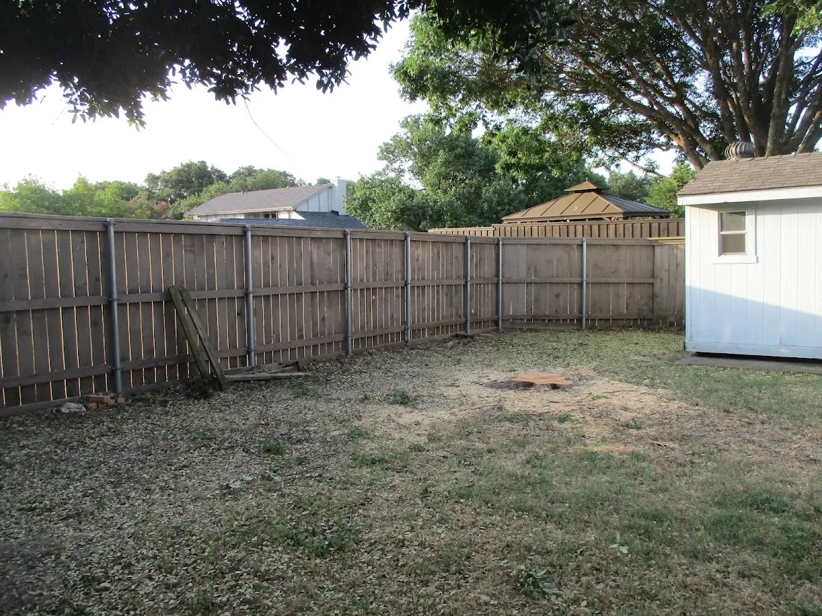 Cleared yard after professional tree removal in Wolcott